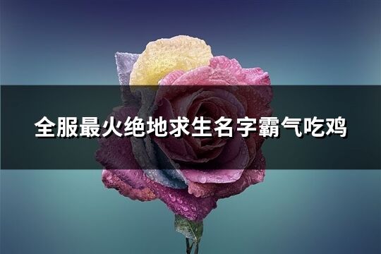 全服最火绝地求生名字霸气吃鸡(共641个)