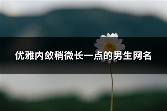 优雅内敛稍微长一点的男生网名(共141个)