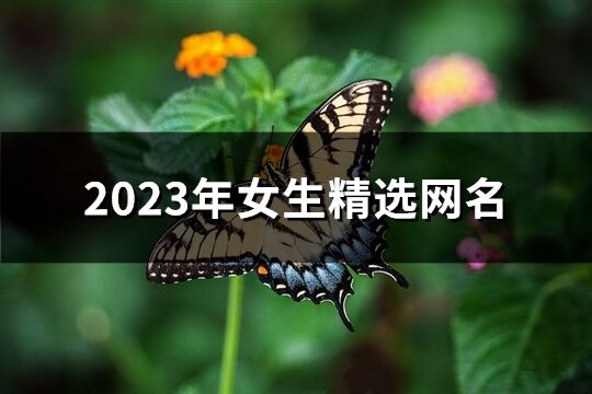 2023年女生精选网名(共1183个)