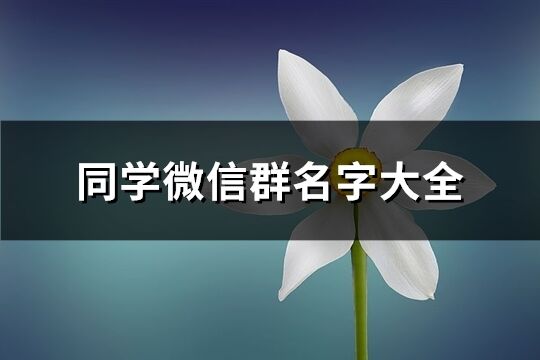 同学微信群名字大全(共151个)