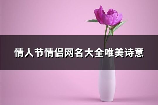 情人节情侣网名大全唯美诗意(共46个)