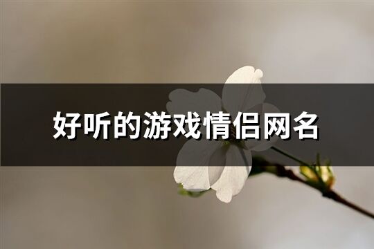 好听的游戏情侣网名(共262个)