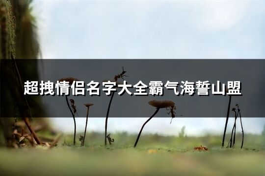 超拽情侣名字大全霸气海誓山盟(精选255个)