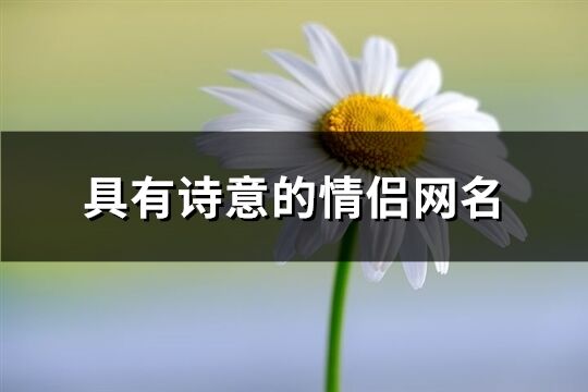 具有诗意的情侣网名(共69个)