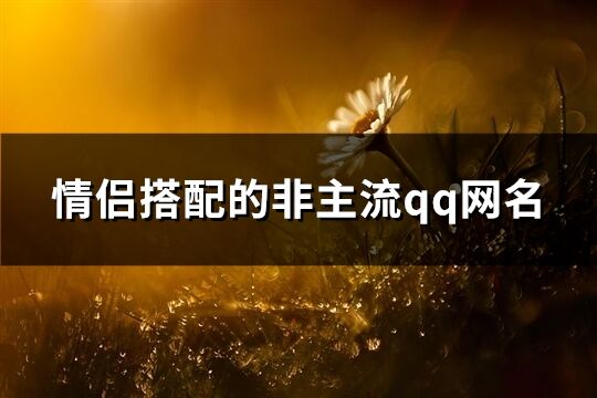 情侣的非主流qq网名(共361个)