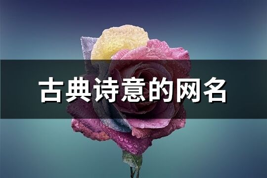 古典诗意的网名(精选817个)