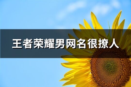 王者荣耀男网名很撩人(共102个)