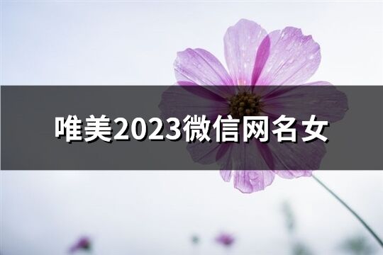 唯美2023微信网名女(共340个)