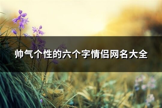 帅气个性的六个字情侣网名大全(共176个)