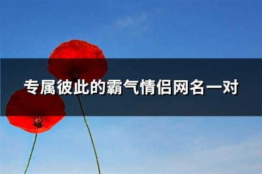 专属彼此的霸气情侣网名一对(共60个)