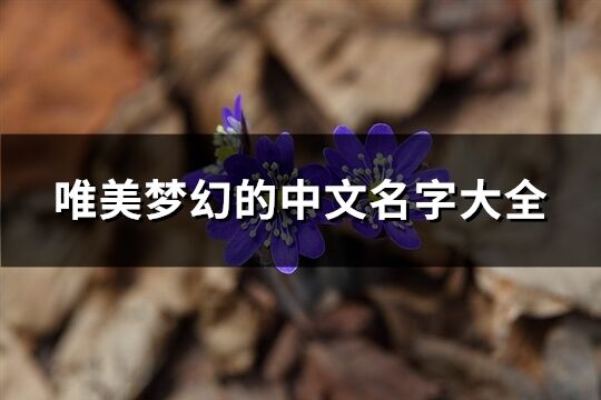 唯美梦幻的中文名字大全(835个)