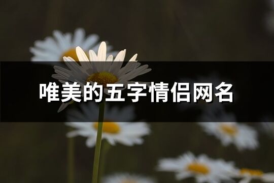 唯美的五字情侣网名(精选194个)