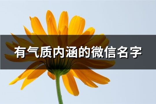 有气质内涵的微信名字(共566个)