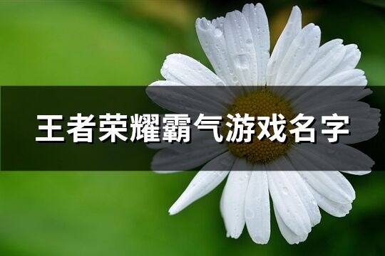 王者荣耀霸气游戏名字(共267个)