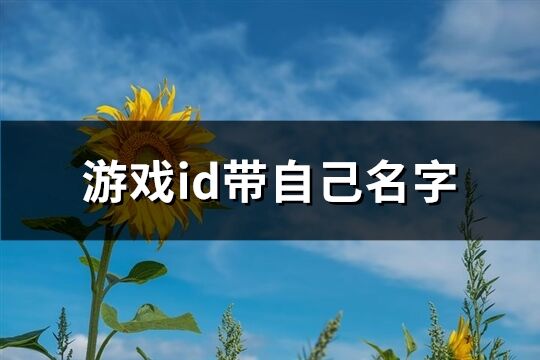 游戏id带自己名字(共481个)