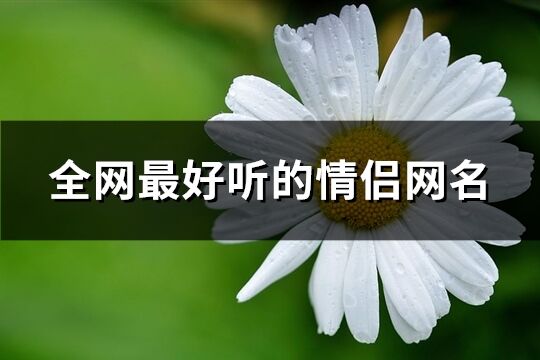 全网最好听的情侣网名(精选71个)