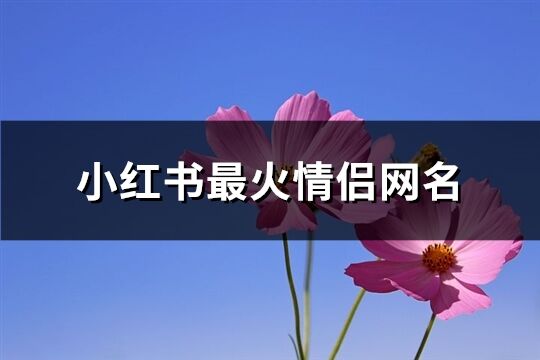 小红书最火情侣网名(125个)