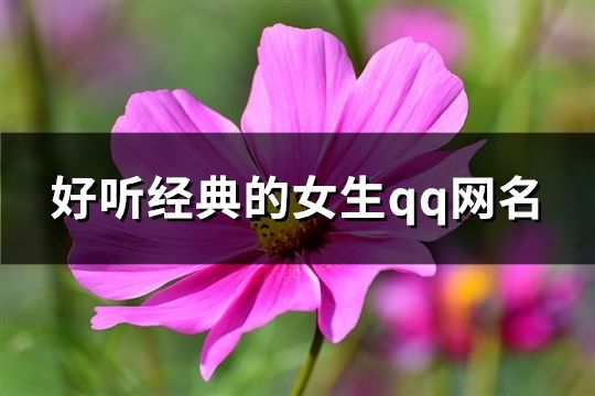 好听经典的女生qq网名(223个)