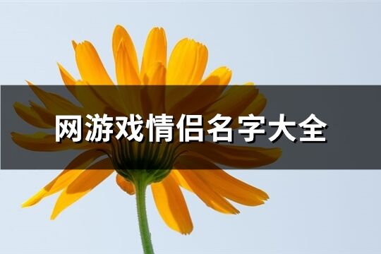 网游戏情侣名字大全(共76个)