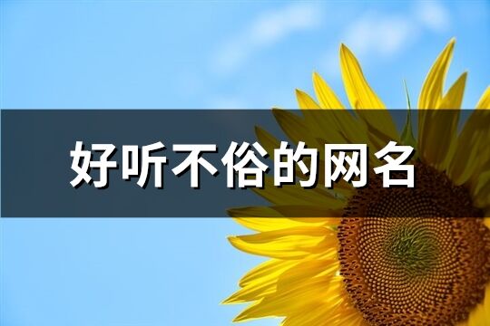 好听不俗的网名(共240个)