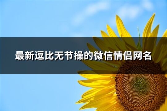 最新逗比无节操的微信情侣网名(76个)