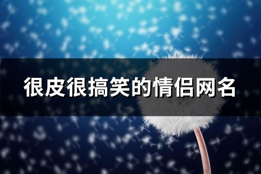 很皮很搞笑的情侣网名(60个)