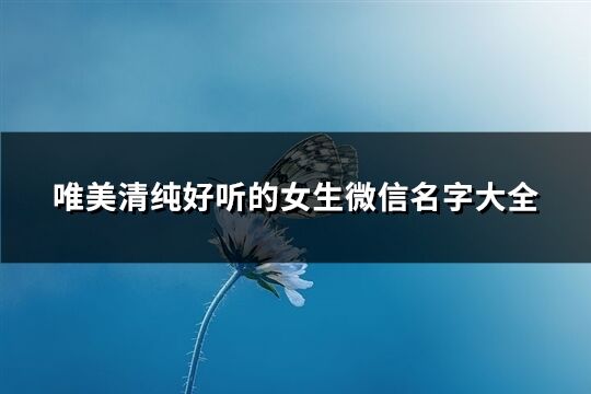 唯美清纯好听的女生微信名字大全(共366个)