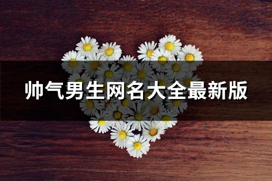 帅气男生网名大全最新版(精选173个)