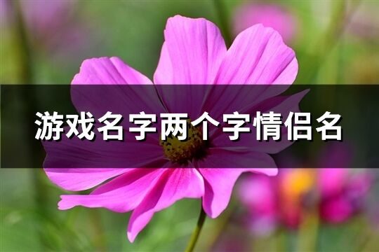 游戏名字两个字情侣名(326个)