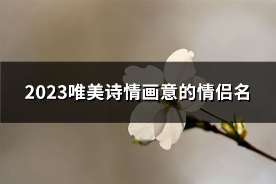 2023唯美诗情画意的情侣名(共101个)