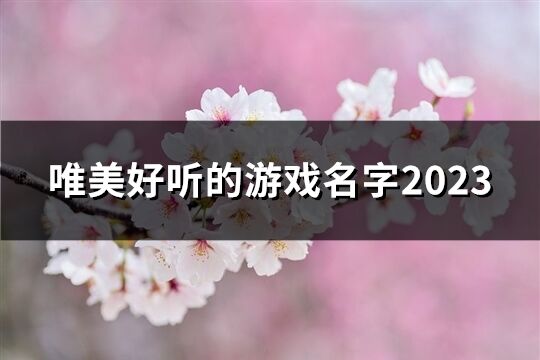 唯美好听的游戏名字2023(共57个)