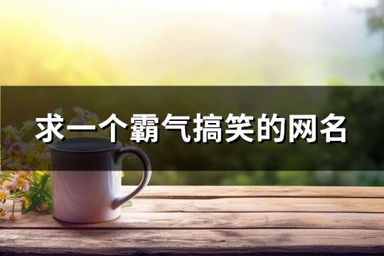 求一个霸气搞笑的网名(240个)