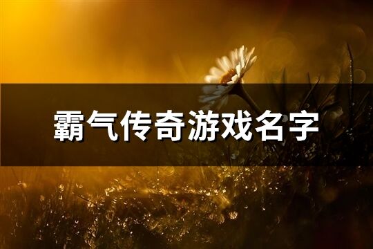 霸气传奇游戏名字(共687个)