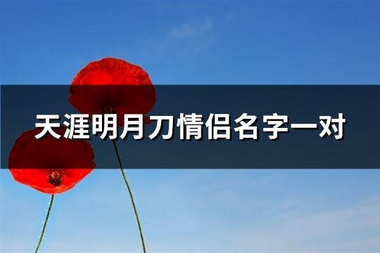 天涯明月刀情侣名字一对(110个)