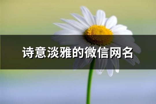 诗意淡雅的微信网名(共862个)