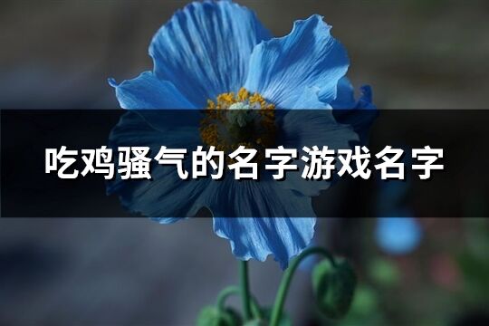 吃鸡骚气的名字游戏名字(精选427个)