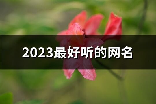 2023最好听的网名(共1341个)