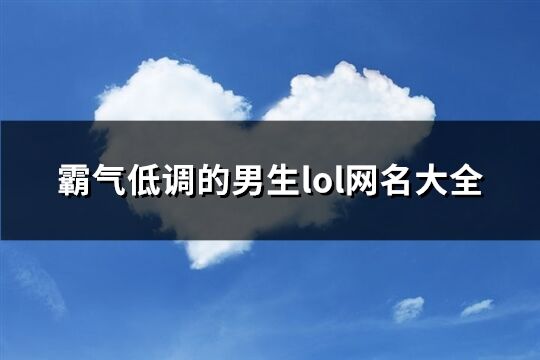 霸气低调的男生lol网名大全(共227个)