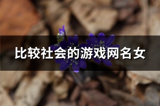 比较社会的游戏网名女(共311个)