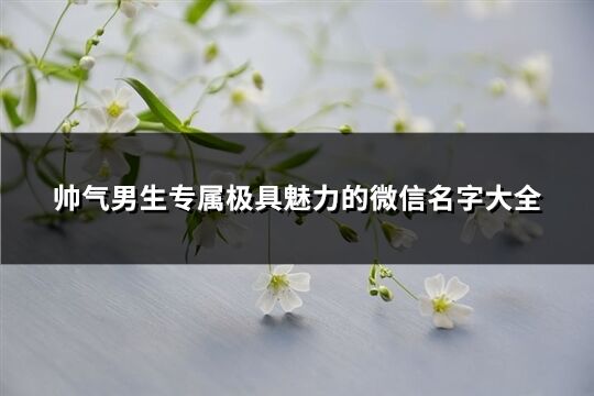 帅气男生专属极具魅力的微信名字大全(共122个)