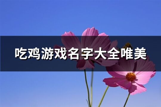 吃鸡游戏名字大全唯美(共272个)