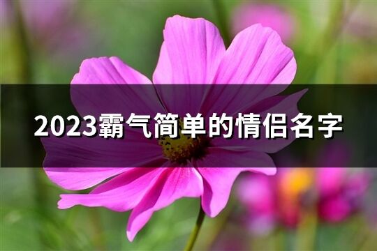 2023霸气简单的情侣名字(共237个)