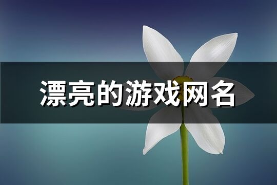 漂亮的游戏网名(精选440个)