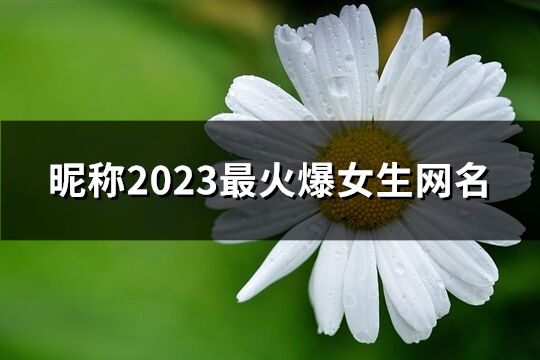 昵称2023最火爆女生网名(精选1522个)