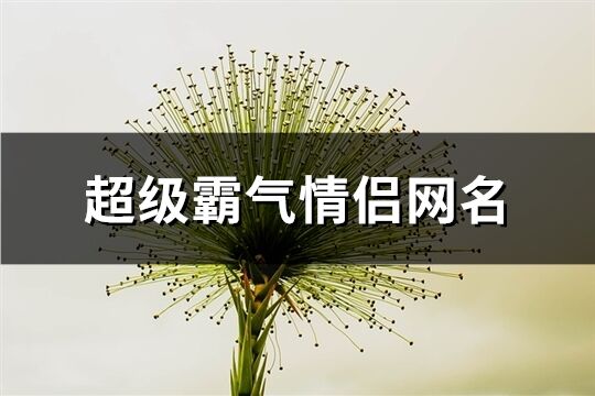 超级霸气情侣网名(共731个)