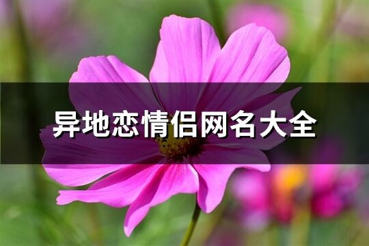 异地恋情侣网名大全(共101个)