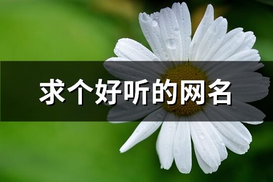 求个好听的网名(共542个)