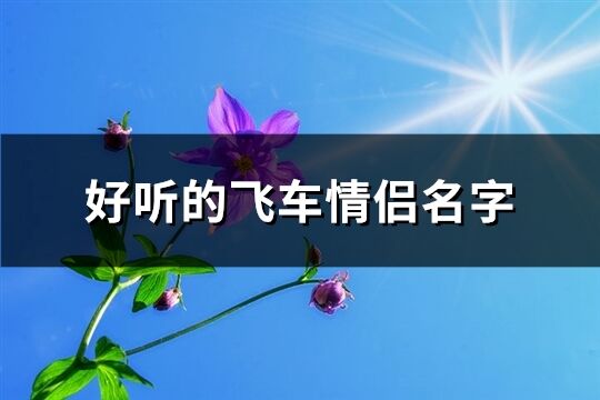 好听的飞车情侣名字(103个)