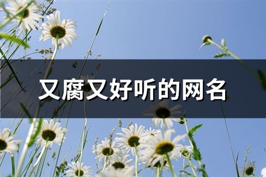 又腐又好听的网名(共62个)