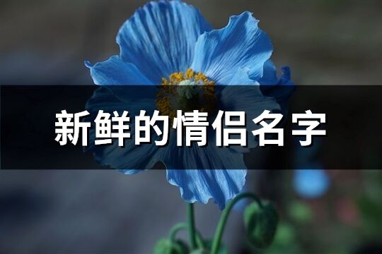 新鲜的情侣名字(精选171个)